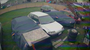 Caméra IP - United States of America