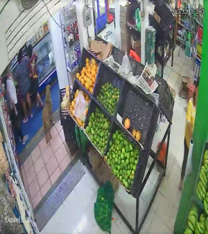 Caméra IP - Messico