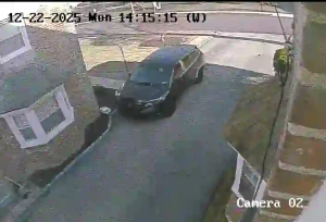 Caméra IP - Stati Uniti d'America