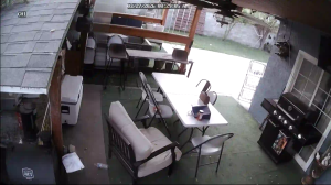 Caméra IP - United States of America