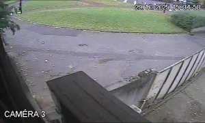 Caméra IP - Francia