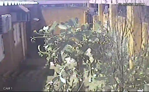 Caméra IP - Argentinien