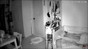 Caméra IP - Hong Kong