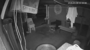 Caméra IP - Australia