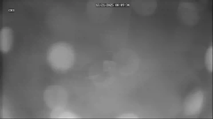 Caméra IP - South Korea