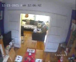 Caméra IP - Reino Unido