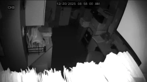 Caméra IP - Stati Uniti d'America