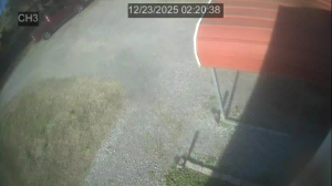 Caméra IP - Estados Unidos