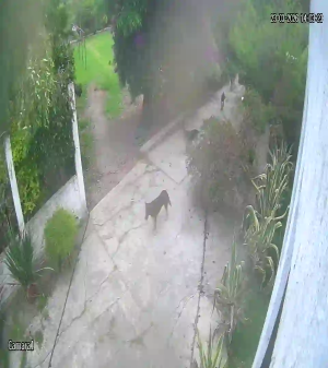 Caméra IP - México