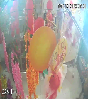 Caméra IP - Vietnam