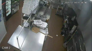 Caméra IP - United States of America