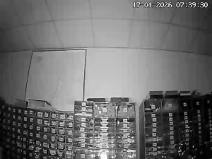 Caméra IP - Türkiye