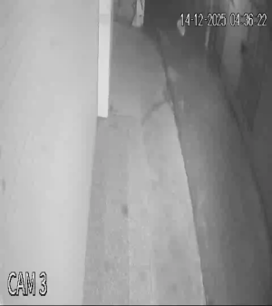 Caméra IP - Vietnam