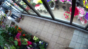 Caméra IP - Estados Unidos