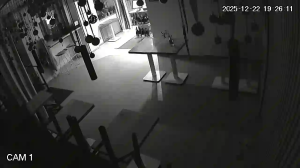 Caméra IP - Polonia