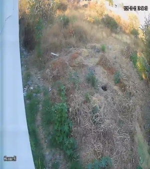 Caméra IP - Mexique