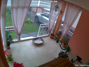 Caméra IP - Italien