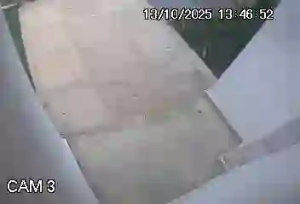 Caméra IP - Brazil