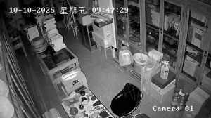Caméra IP - China