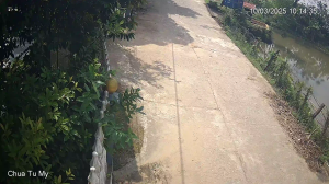 Caméra IP - Vietnam