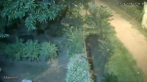 Caméra IP - Paraguay