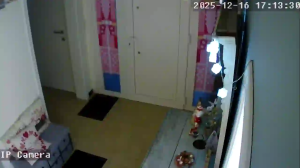 Caméra IP - Belgien