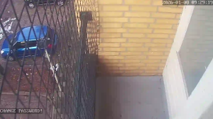 Caméra IP - Paesi Bassi