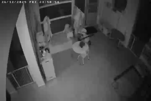 Caméra IP - Niederlande