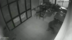 Caméra IP - Tunisie