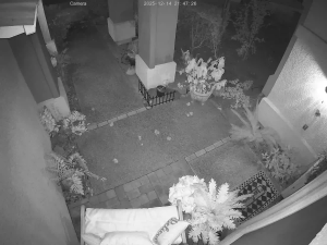 Caméra IP - United States of America