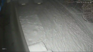 Caméra IP - Russian Federation