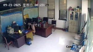 Caméra IP - China