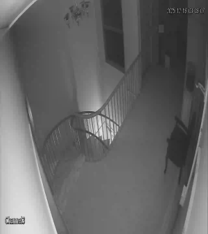 Caméra IP - Pakistan