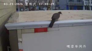 Caméra IP - People's Republic of China