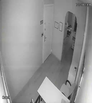 Caméra IP - Türkei