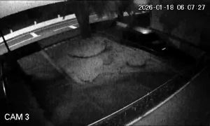 Caméra IP - Portugal