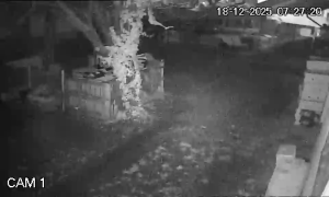 Caméra IP - Rumänien