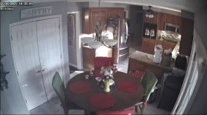 Caméra IP - United States of America