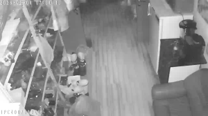 Caméra IP - Russian Federation