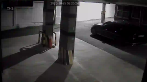 Caméra IP - South Korea