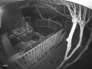 Caméra IP - Estados Unidos