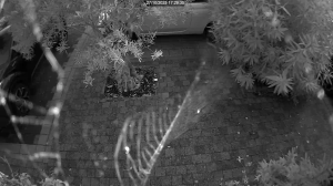 Caméra IP - Niederlande