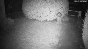 Caméra IP - Niederlande