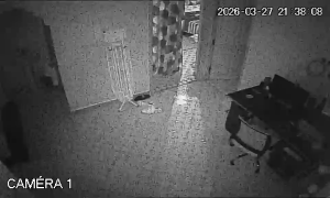 Caméra IP - Morocco