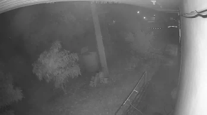 Caméra IP - Thailand