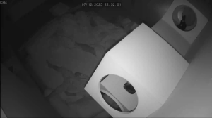 Caméra IP - Singapur