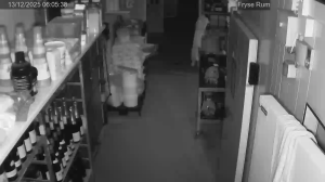 Caméra IP - Danimarca