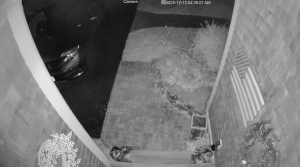 Caméra IP - États-Unis d'Amérique