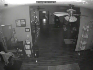 Caméra IP - Vereinigte Staaten von Amerika