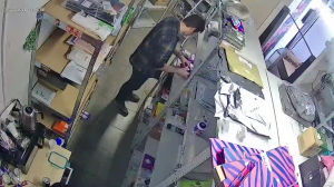 Caméra IP - Russian Federation